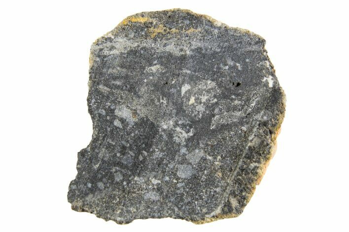 Polished Lunar Meteorite ( g) End Cut Slice - NWA #333176